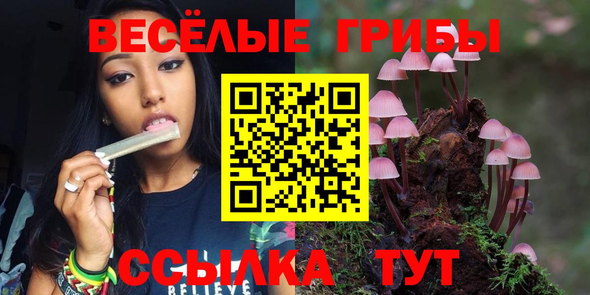 Псилоцибиновые грибы Psilocybe Можайск